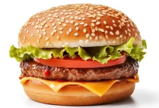 Cheese Burger